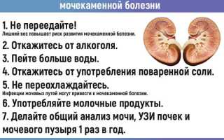 Народные средства, как лечение почек в домашних условиях, рецепты отваров и настоев